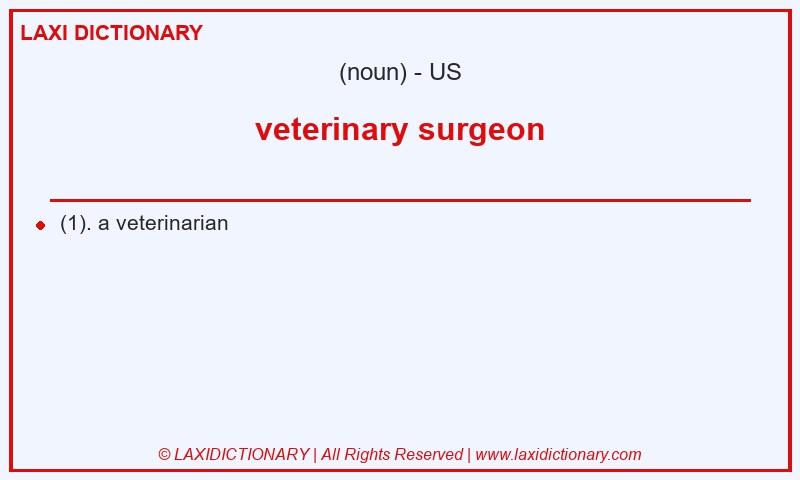 Definition veterinary surgeon in American English