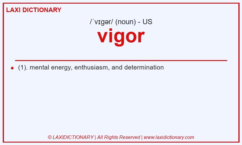 Definition vigor in American English