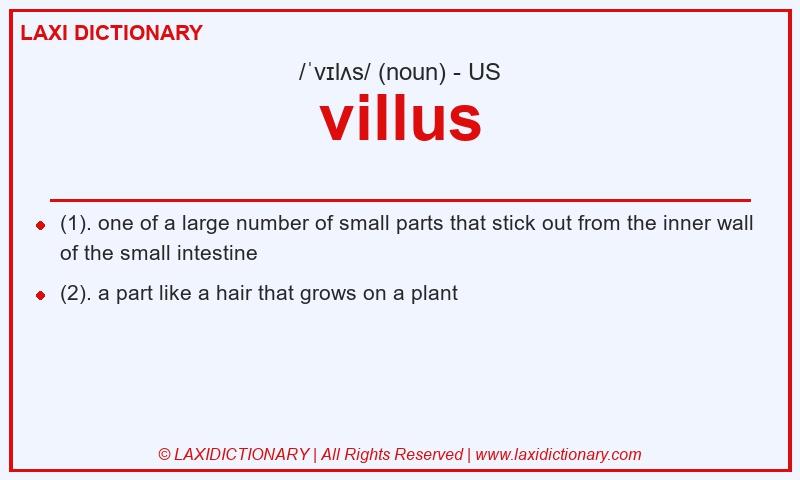 Definition villus in American English