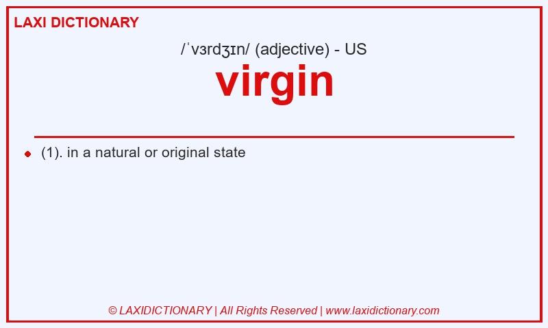 Definition virgin in American English