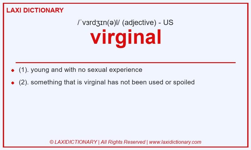 Definition virginal in American English