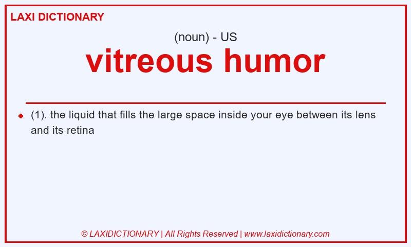 Definition vitreous humor in American English