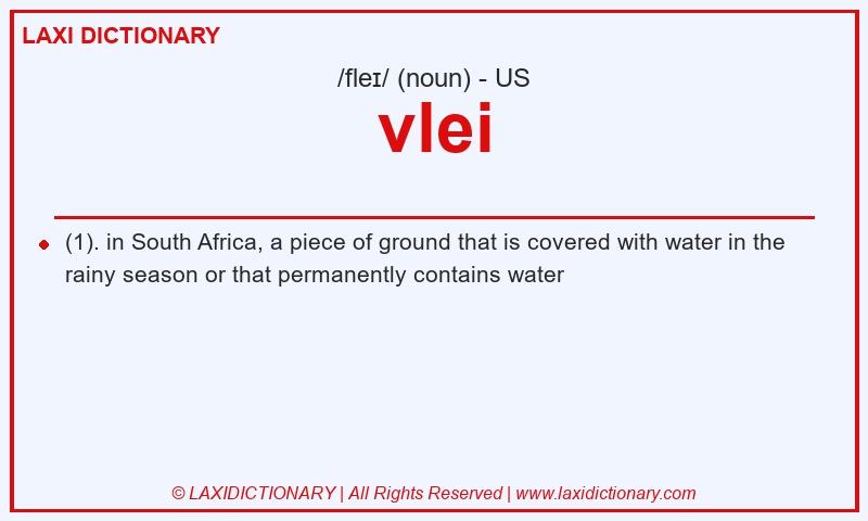 Definition vlei in American English