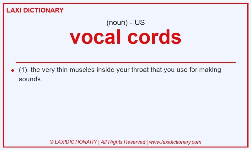 Definition vocal cords in American English