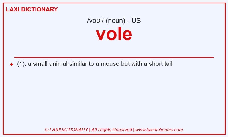 Definition vole in American English