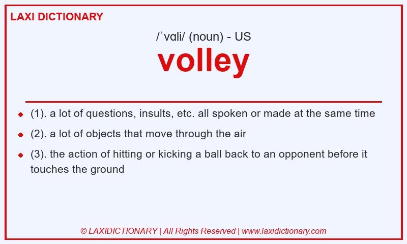 Definition volley in American English