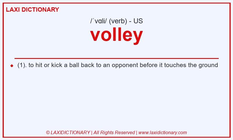 Definition volley in American English