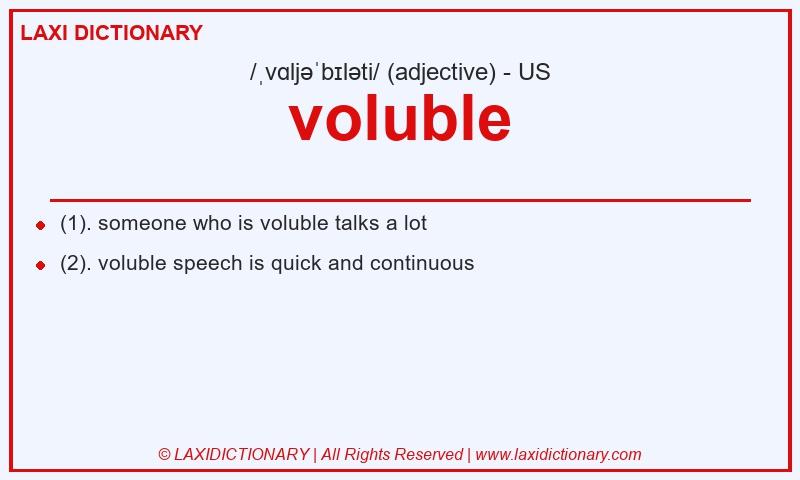 Definition voluble in American English