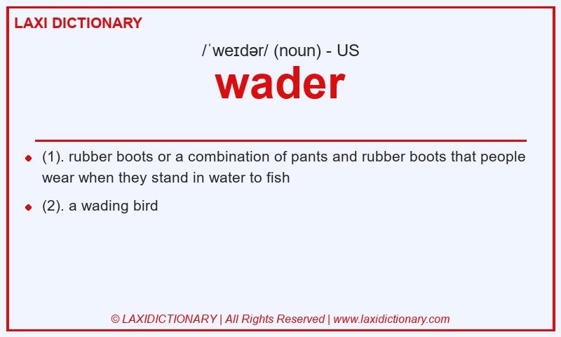 Definition wader in American English