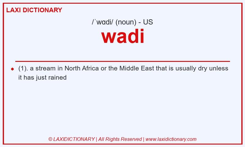 Definition wadi in American English