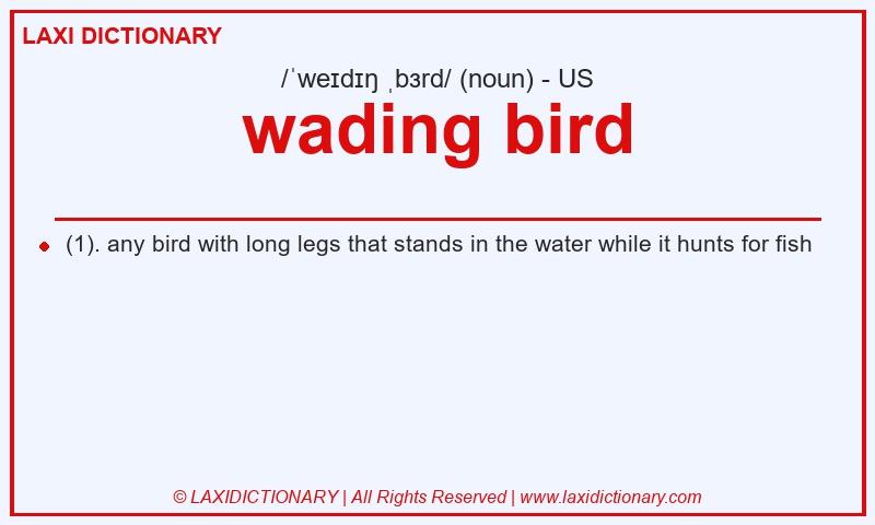 Definition wading bird in American English