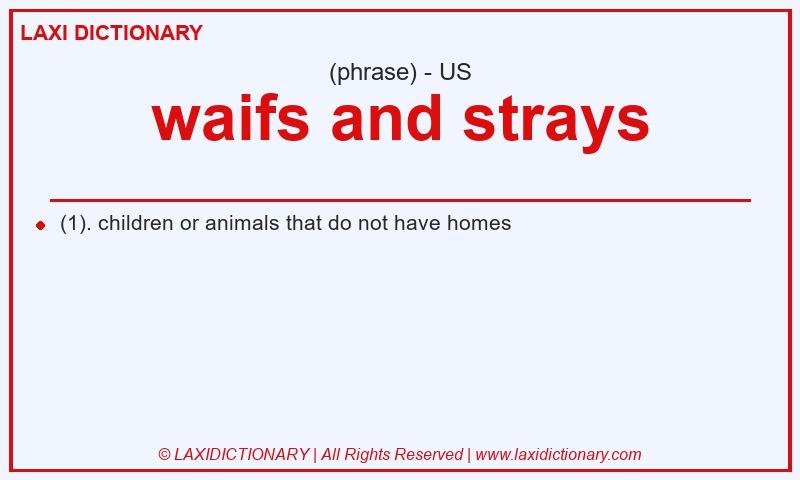 Definition waifs and strays in American English