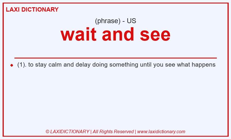 Definition wait and see in American English