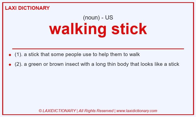 Definition walking stick in American English