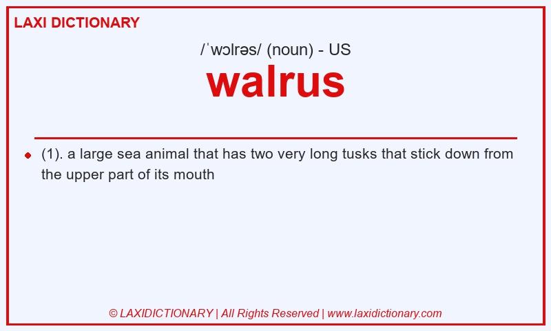 Definition walrus in American English