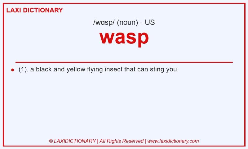 Definition wasp in American English