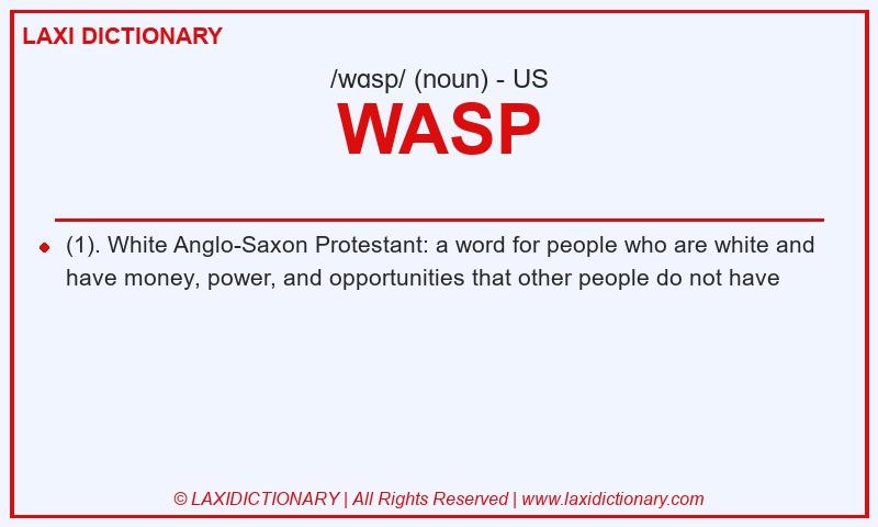Definition WASP in American English