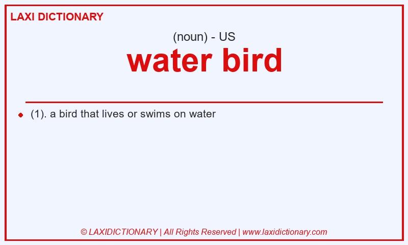 Definition water bird in American English