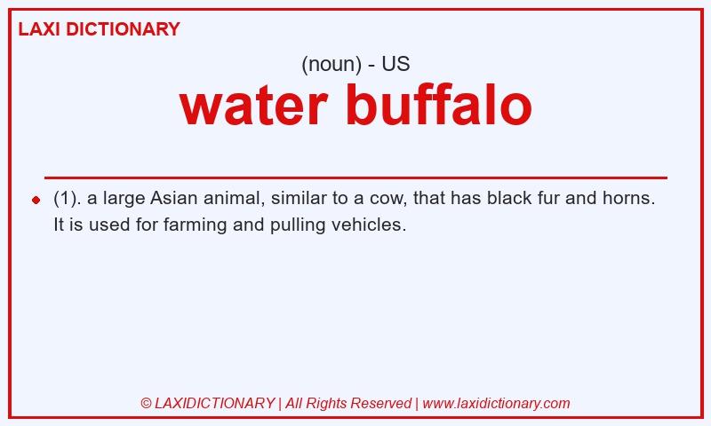Definition water buffalo in American English