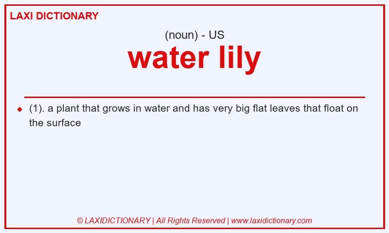 Definition water lily in American English
