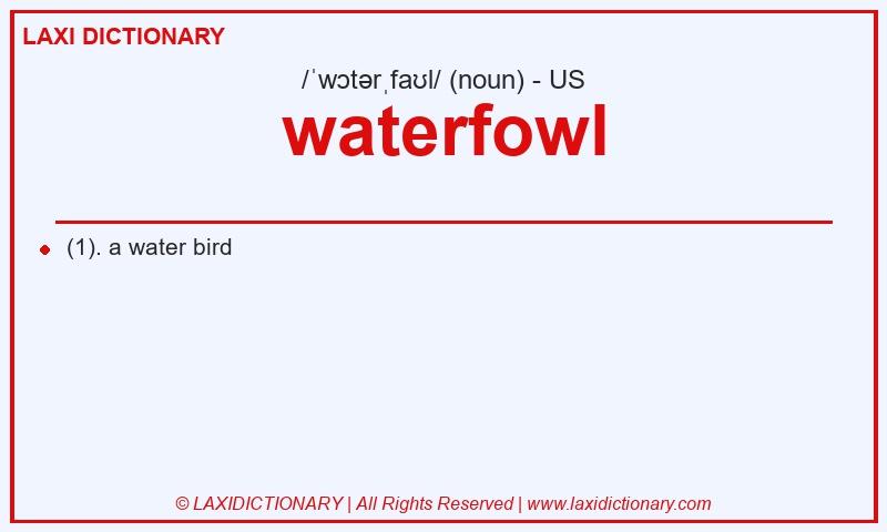 Definition waterfowl in American English