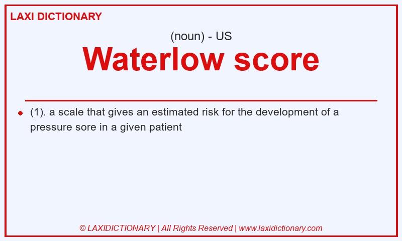 Definition Waterlow score in American English