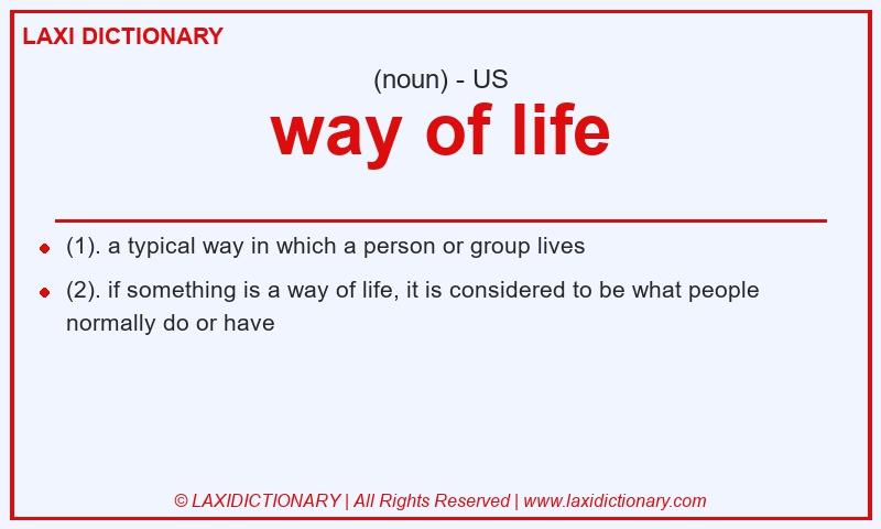 Definition way of life in American English
