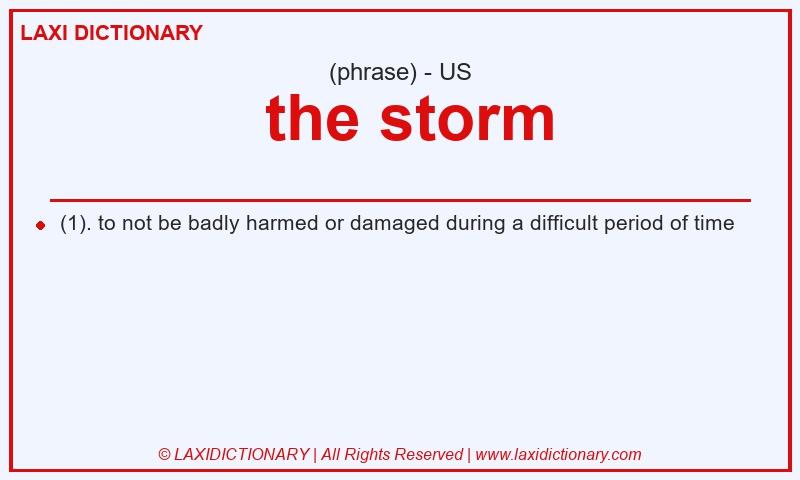 Definition  the storm in American English