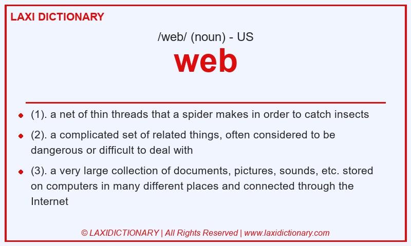 Definition web in American English