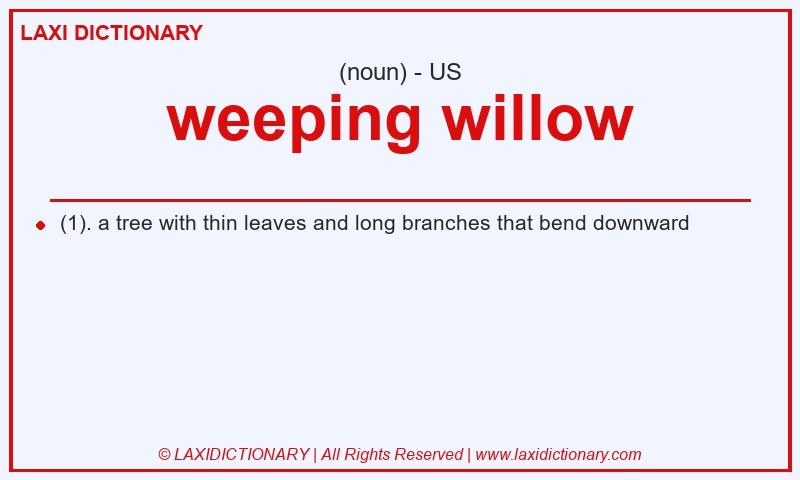 Definition weeping willow in American English