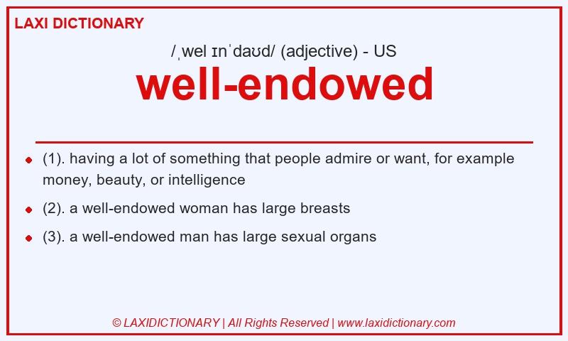 Definition well-endowed in American English