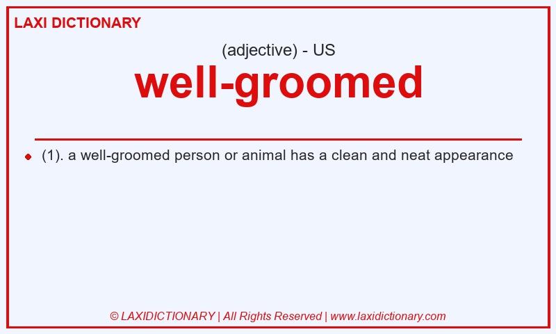 Definition well-groomed in American English
