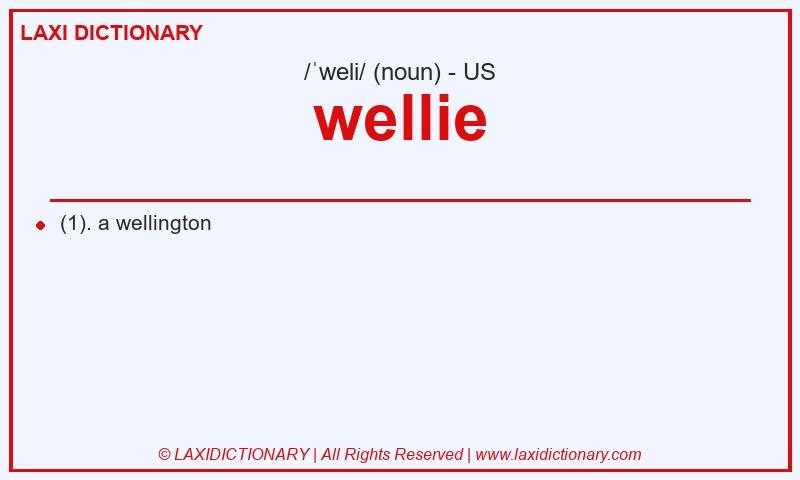 Definition wellie in American English