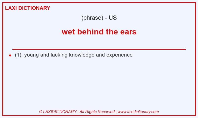 Definition wet behind the ears in American English