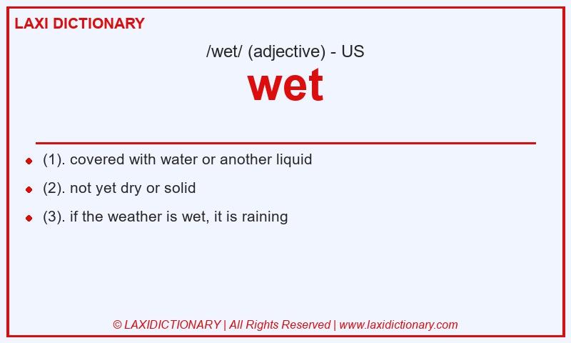 Definition wet in American English