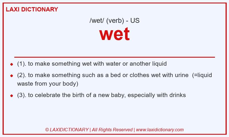Definition wet in American English