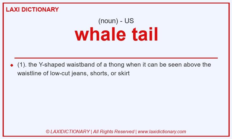 Definition whale tail in American English