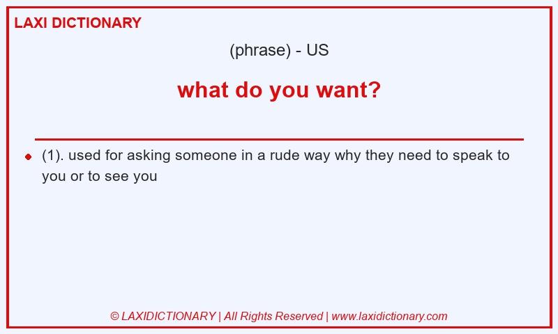 Definition what do you want? in American English