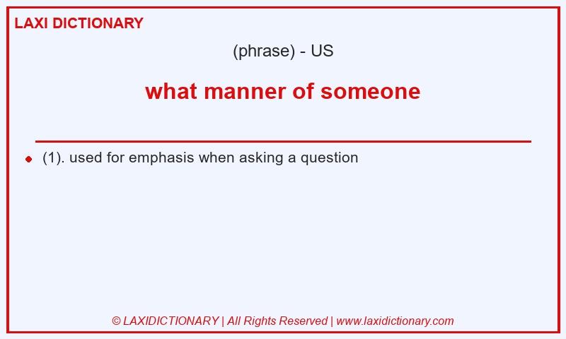 Definition what manner of someone in American English