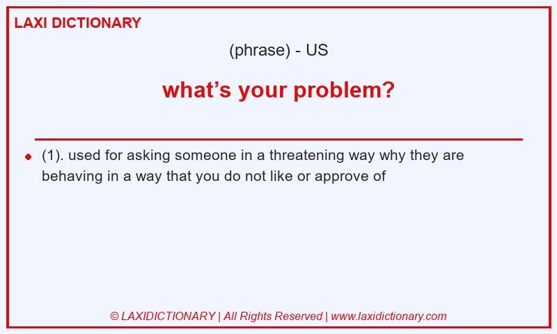 Definition what’s your problem? in American English