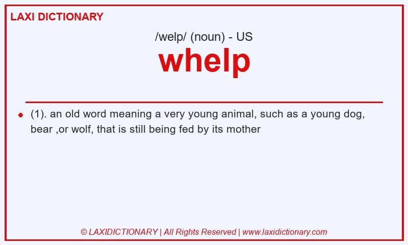 Definition whelp in American English