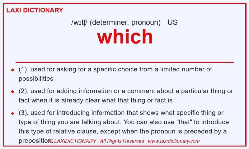 Definition which in American English