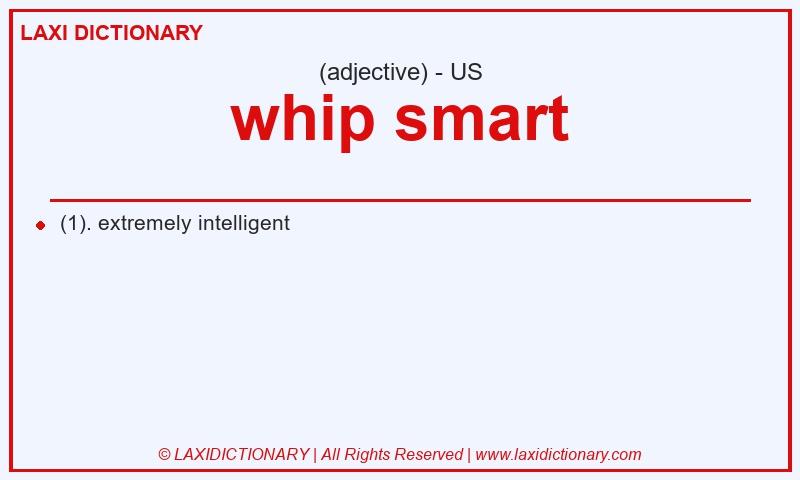 Definition whip smart in American English
