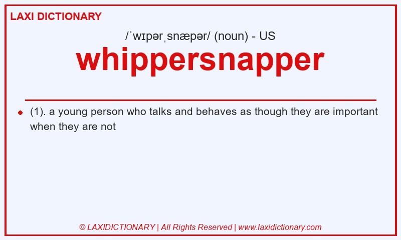 Definition whippersnapper in American English