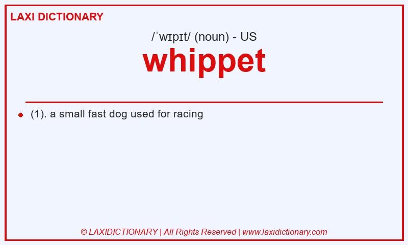 Definition whippet in American English