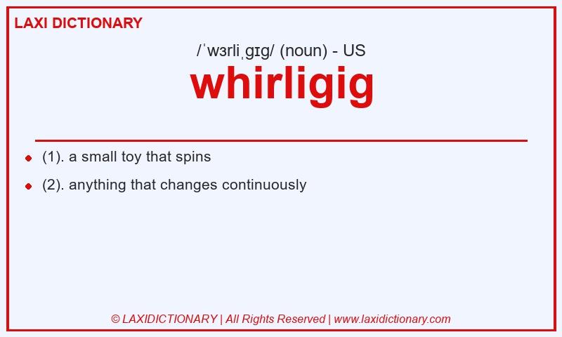 Definition whirligig in American English