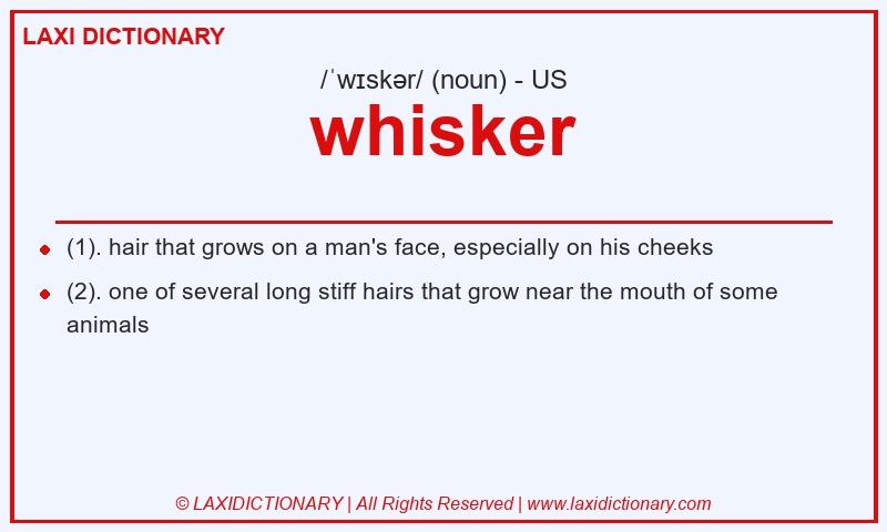 Definition whisker in American English