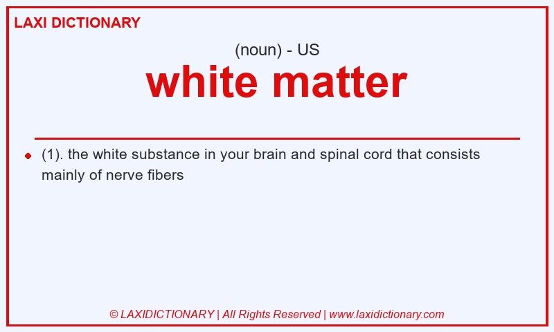 Definition white matter in American English