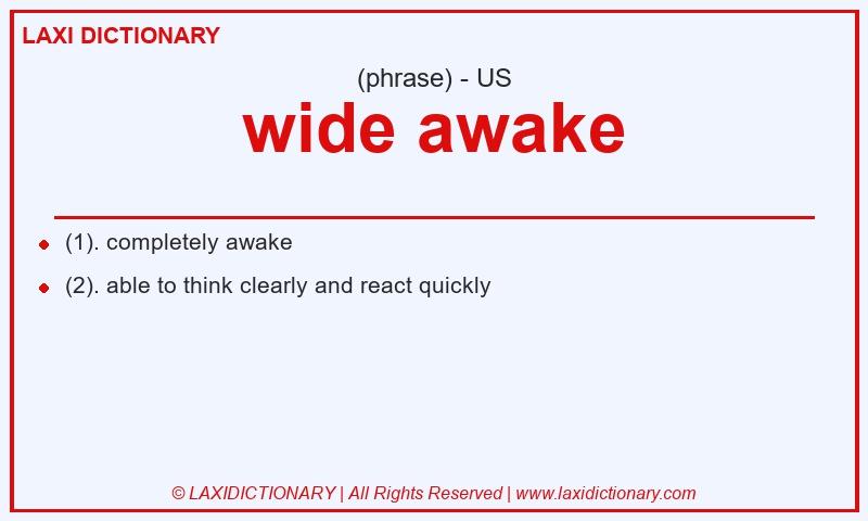Definition wide awake in American English