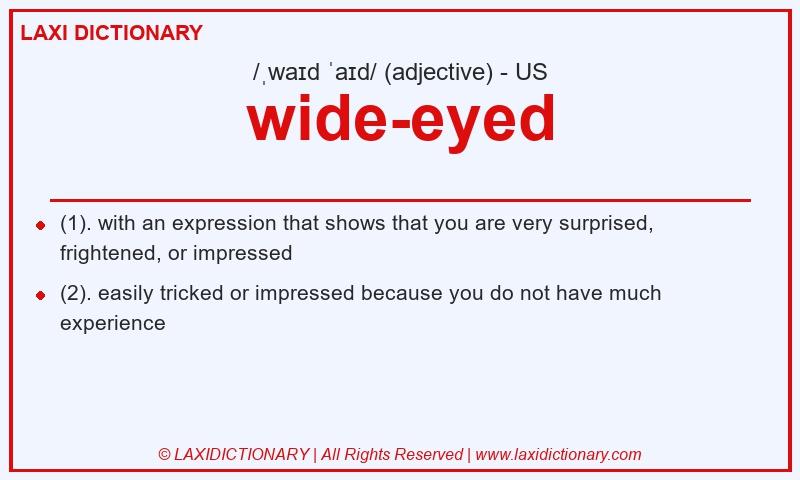 Definition wide-eyed in American English